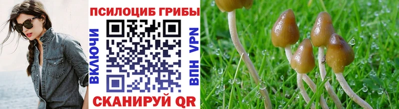 Галлюциногенные грибы Cubensis Томилино