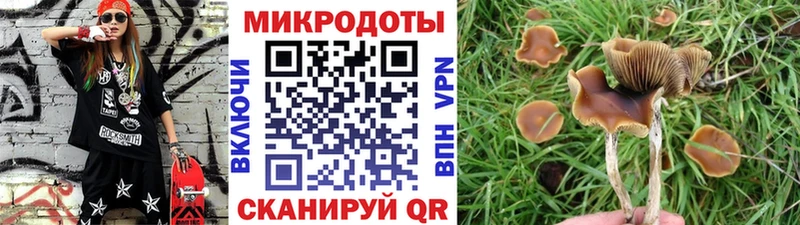 Псилоцибиновые грибы ЛСД  Томилино 